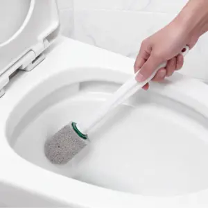 Brosse Toilette Pierre
