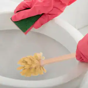 Brosse WC Manche Bois