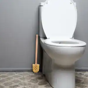 Brosse WC Manche Bois