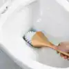 Brosse WC Haut De Gamme